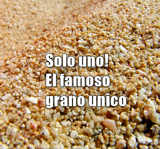1 grano de arena